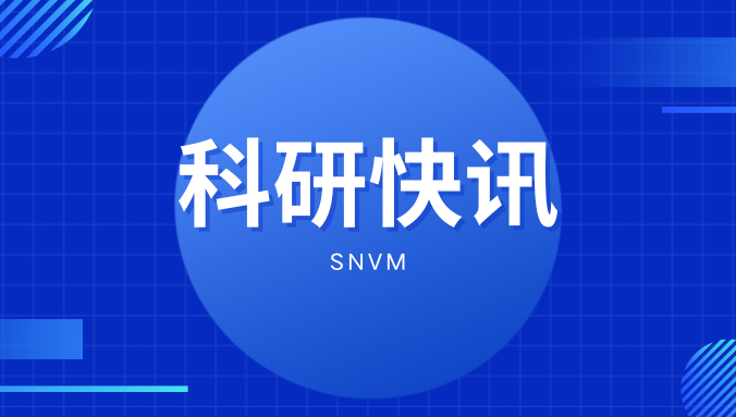 国仪量子SNVM助力多铁材料生长与调控新突破