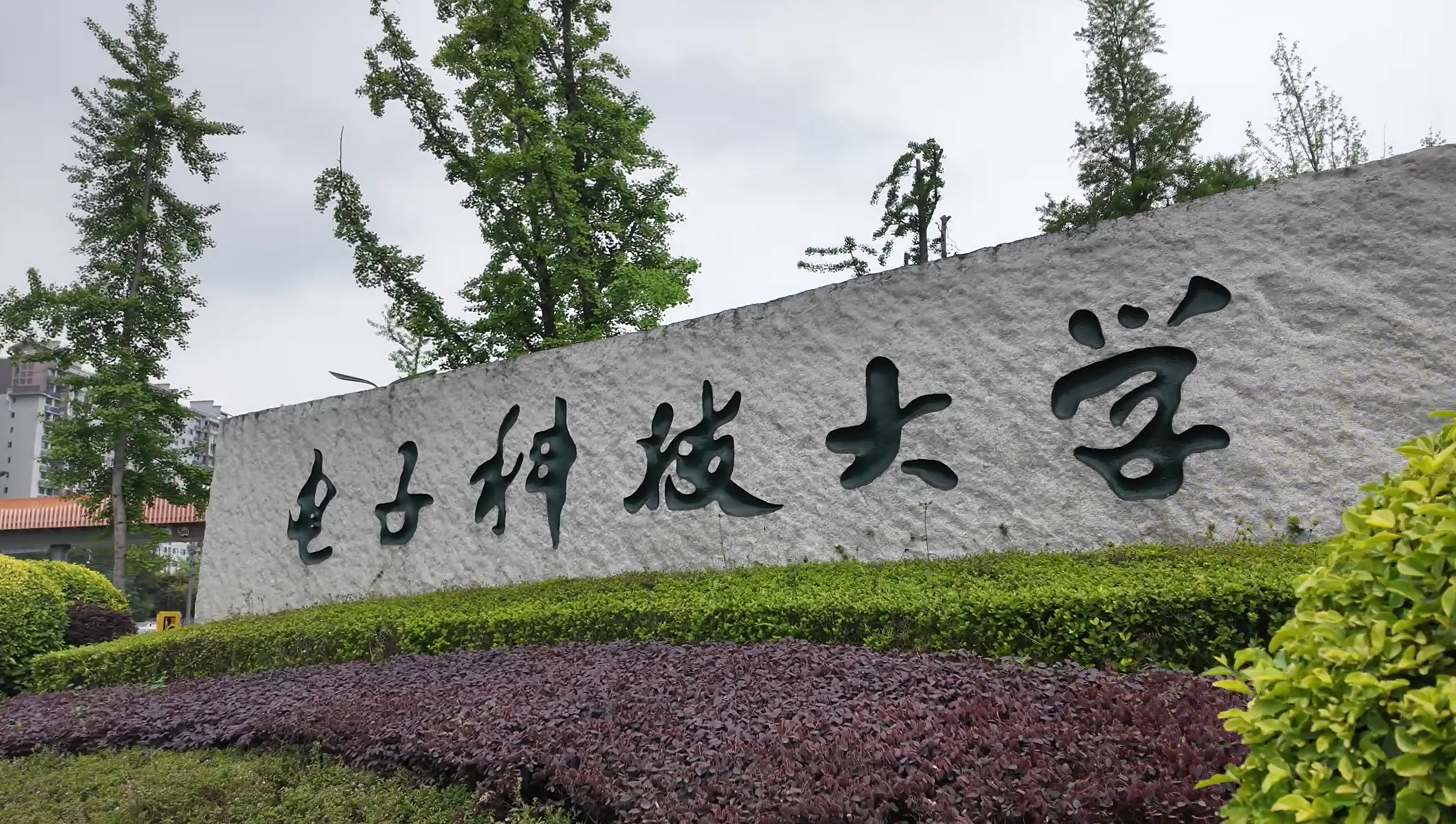 聚焦失效分析，共促产学研协同——ICIE平台失效分析服务开放日活动圆满举行