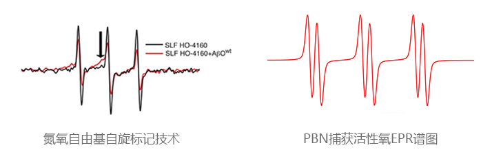 氮氧自由基自旋标记技术11624348252747.png