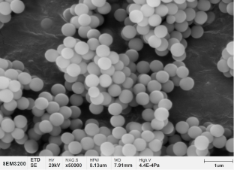 纳米材料-二氧化硅微球