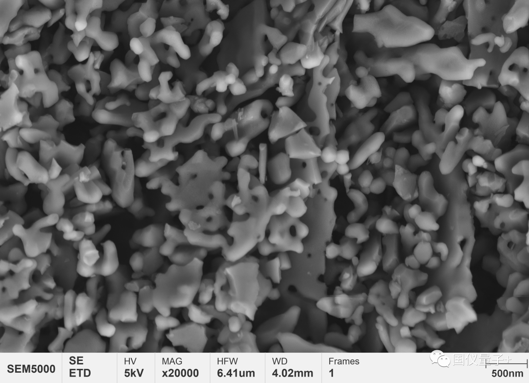 场发射扫描电镜SEM5000在纳米氧化铝中的应用